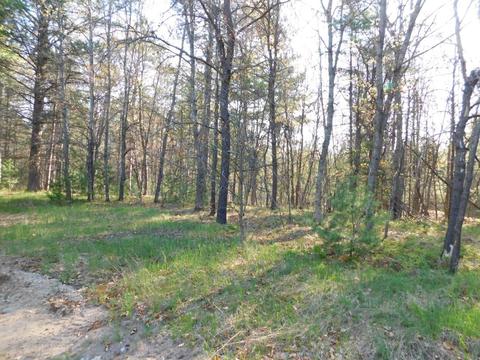 Abitibi Lane, Grayling, MI 49738 photo 13