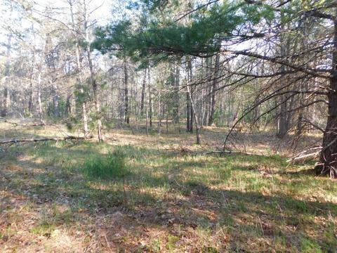 Abitibi Lane, Grayling, MI 49738 photo 14
