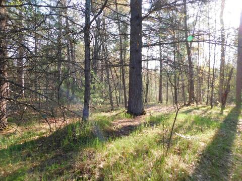 Abitibi Lane, Grayling, MI 49738 photo 15
