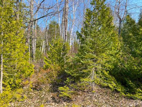 lot4 Harbor View Dr, Presque Isle, MI 49777