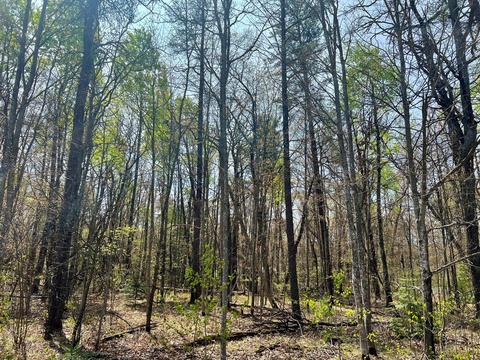 3025 Lakeview Dr #LOT 22, Lewiston, MI 49756