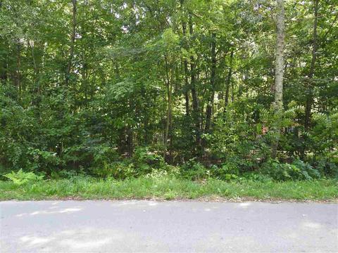 lot147 Mink Dr, Roscommon, MI 48653