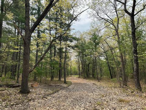 Vacant Horizon Trail #8.26 ACRES, Indian River, MI 49749