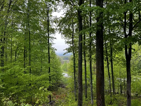 1185 Hideaway Valley Dr # 62, Harbor Springs, MI 49740