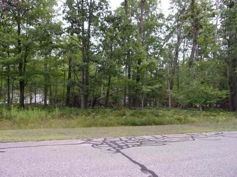 lot15 Robin Hood Roscommon Mi 48653, Roscommon, MI 48653