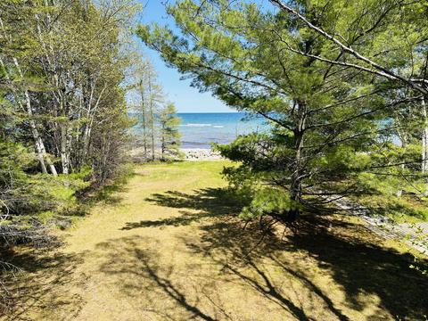 18711 Darter Lane Ocqueoc Mi 49759 Ln, Ocqueoc, MI 49759 photo 50