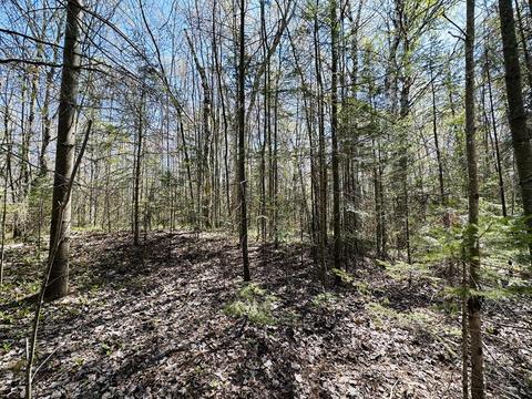 18711 Darter Lane Ocqueoc Mi 49759 Ln, Ocqueoc, MI 49759 photo 46