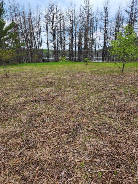 11 Us 10, Gaylord, MI 49735
