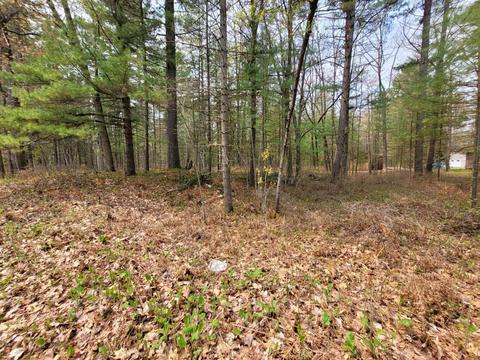 Nature Lane, Ocqueoc, MI 49759