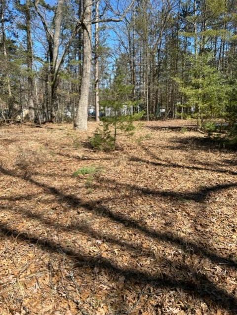 Nnn W Nestel Road, Prudenville, MI 48651