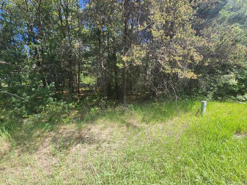 V/l Emery Road, Houghton Lake, MI 48629