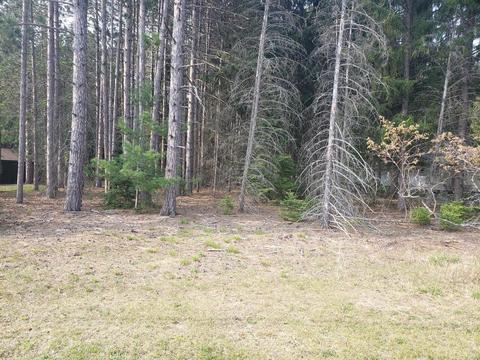 38 East Higgins Lake Drive, Roscommon, MI 48653