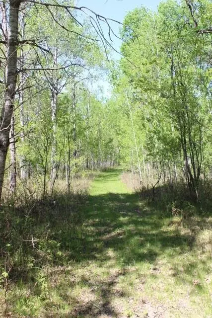 Walsh Road, Lewiston, MI 49756 photo 14