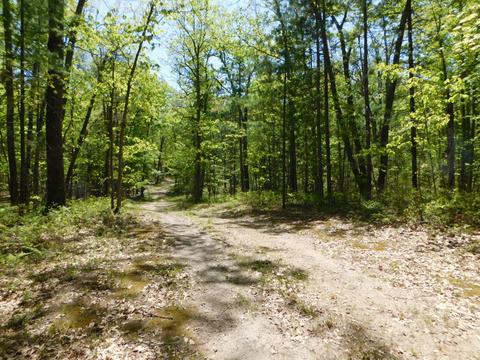 5 West Jones Lake Road #5 ACRES, Grayling, MI 49738