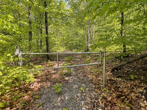 2400 Tower Rd, Vanderbilt, MI 49795 photo 5