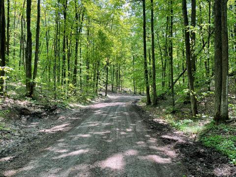 2400 Tower Rd, Vanderbilt, MI 49795 photo 19