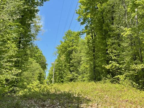 2400 Tower Rd, Vanderbilt, MI 49795 photo 18