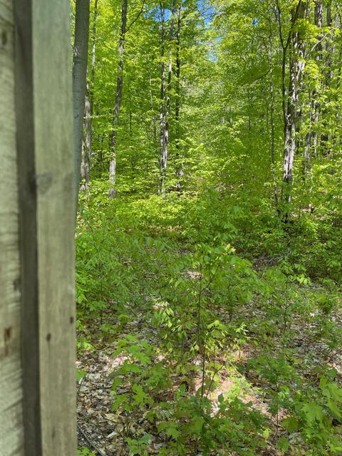 2400 Tower Rd, Vanderbilt, MI 49795 photo 8
