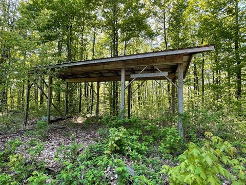 2400 Tower Rd, Vanderbilt, MI 49795 photo 13