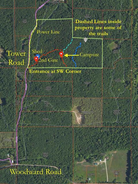2400 Tower Rd, Vanderbilt, MI 49795 photo 2