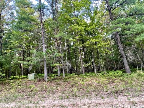 154 Forester Dr #154, Frederic, MI 49733 photo 2