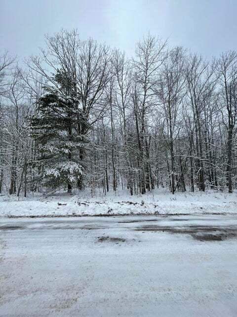 154 Forester Dr #154, Frederic, MI 49733 photo 4