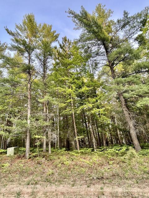 154 Forester Dr #154, Frederic, MI 49733