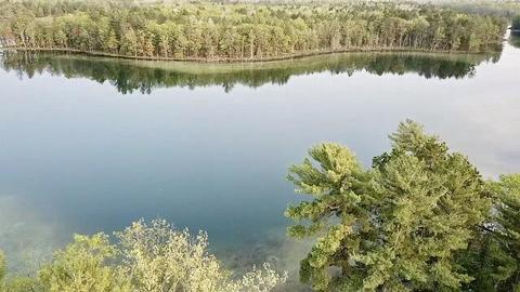 2431 Hidden Isle Dr, Frederic, MI 49733 photo 32