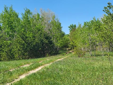 40 Acres Mancelona Road Gaylord Mi 49735 Rd, Gaylord, MI 49735