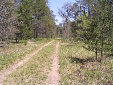 1666 Valhalla Grayling Mi 49738, Grayling, MI 49738 photo 12