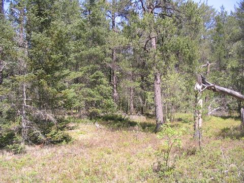1666 Valhalla Grayling Mi 49738, Grayling, MI 49738 photo 13