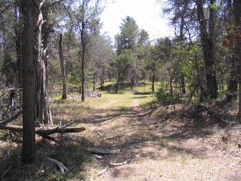 1666 Valhalla Grayling Mi 49738, Grayling, MI 49738 photo 4