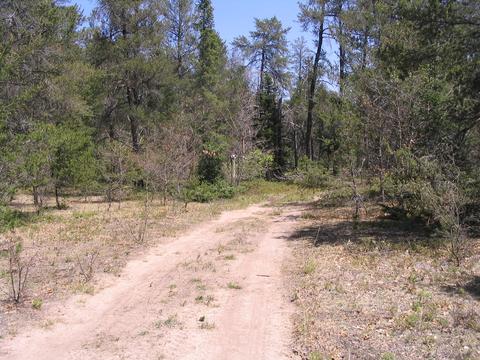 1666 Valhalla Grayling Mi 49738, Grayling, MI 49738 photo 11