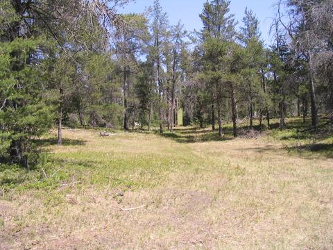 1666 Valhalla Grayling Mi 49738, Grayling, MI 49738 photo 6