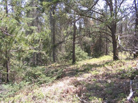 1666 Valhalla Grayling Mi 49738, Grayling, MI 49738 photo 3
