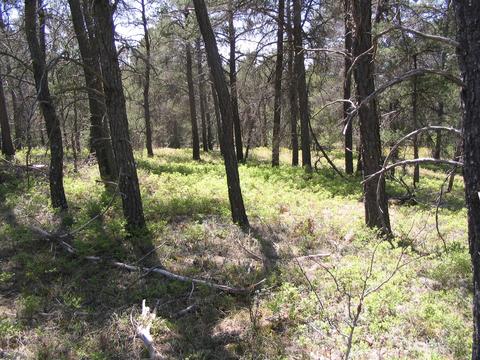 1666 Valhalla Grayling Mi 49738, Grayling, MI 49738 photo 9