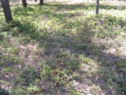 1666 Valhalla Grayling Mi 49738, Grayling, MI 49738 photo 7