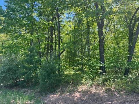 34 Frisco Drive, Houghton Lake, MI 48629