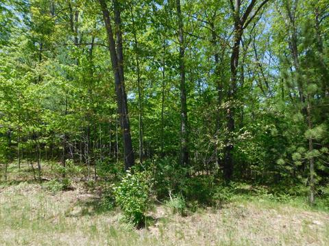 Baric Drive Lot 100, Roscommon, MI 48653