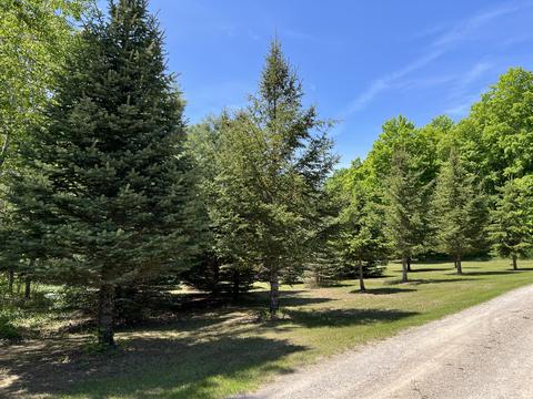 3156 Webb Rd, Wolverine, MI 49799 photo 18