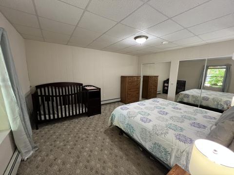 3156 Webb Rd, Wolverine, MI 49799 photo 61