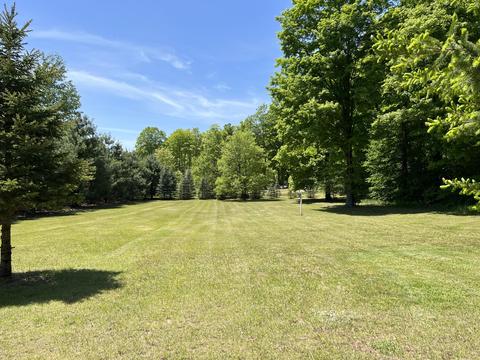3156 Webb Rd, Wolverine, MI 49799 photo 7