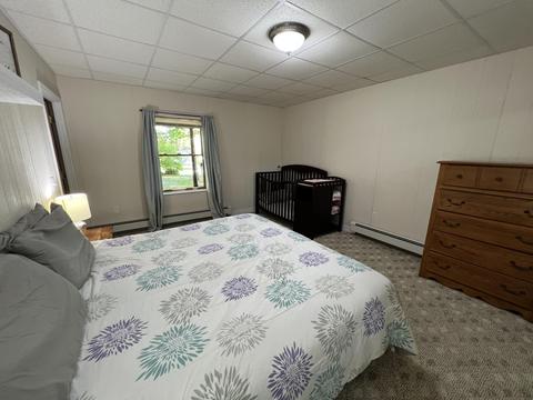 3156 Webb Rd, Wolverine, MI 49799 photo 63