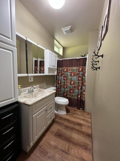 3156 Webb Rd, Wolverine, MI 49799 photo 59