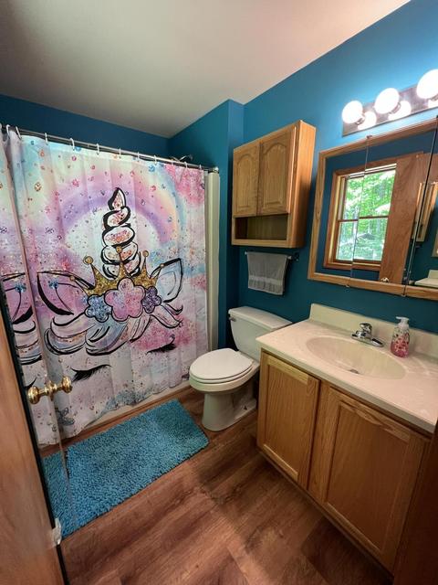 3156 Webb Rd, Wolverine, MI 49799 photo 52