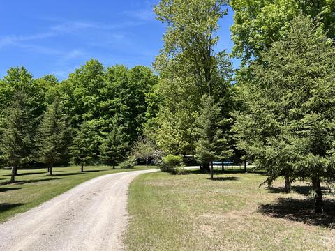 3156 Webb Rd, Wolverine, MI 49799 photo 19