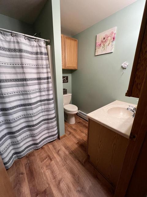 3156 Webb Rd, Wolverine, MI 49799 photo 46