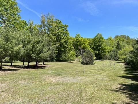 3156 Webb Rd, Wolverine, MI 49799 photo 6