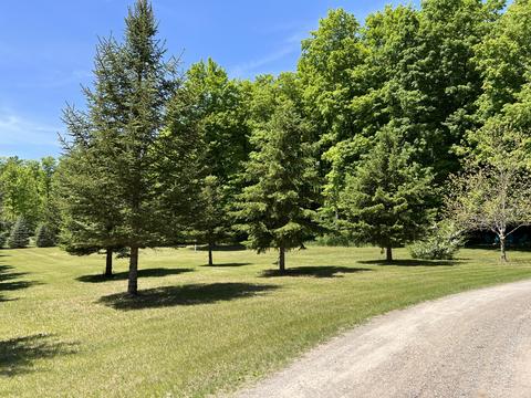 3156 Webb Rd, Wolverine, MI 49799 photo 17