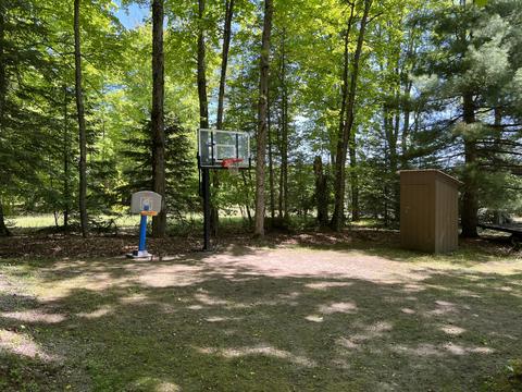 3156 Webb Rd, Wolverine, MI 49799 photo 28